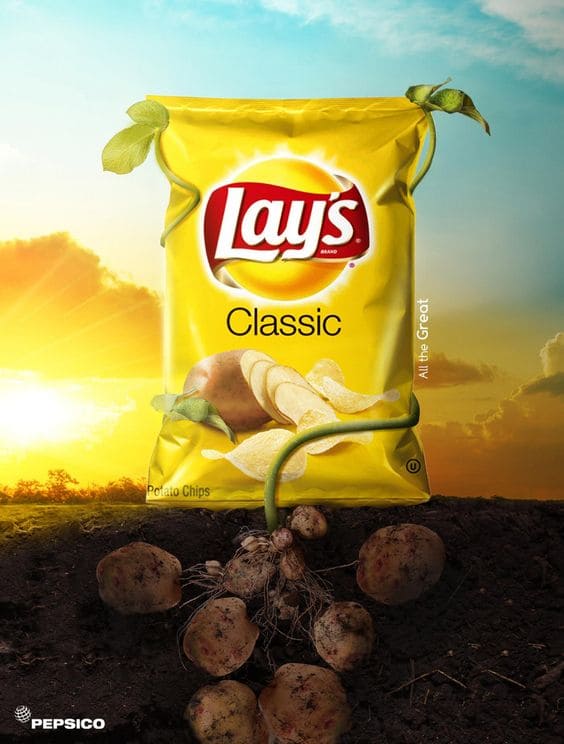 Social Media Services dubai